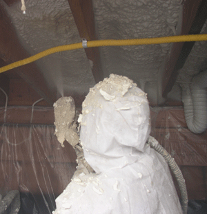 alberta AB crawl space insulation