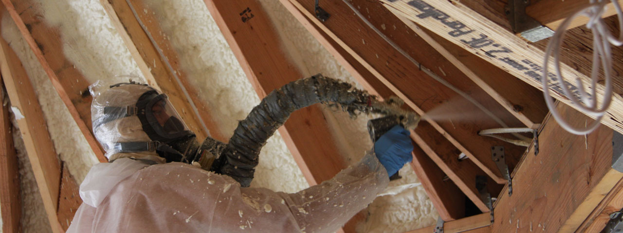 alberta Alberta Attic Insulation Spray Foam